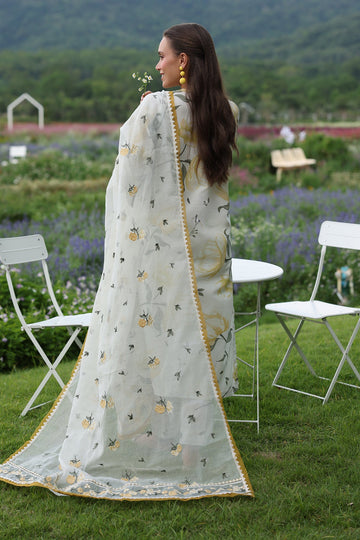 Baroque UF-4235 Online Shopping